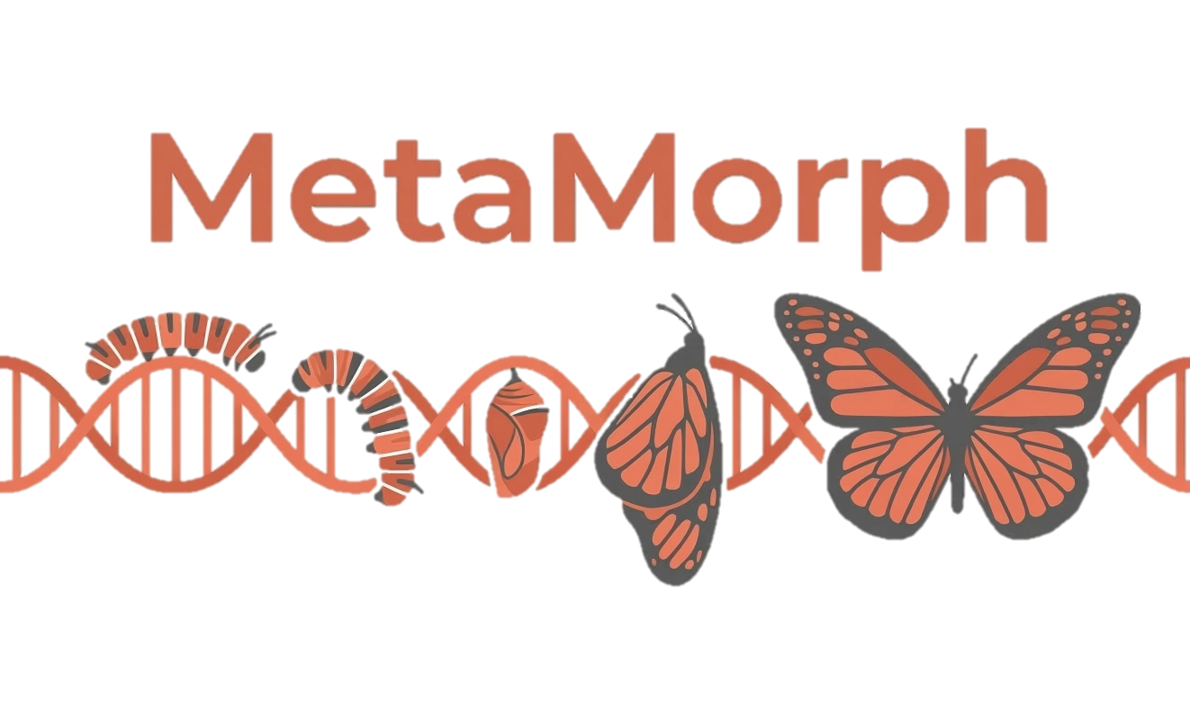 Metamorph logo